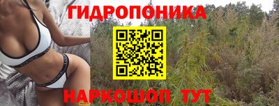 дмт Кулебаки