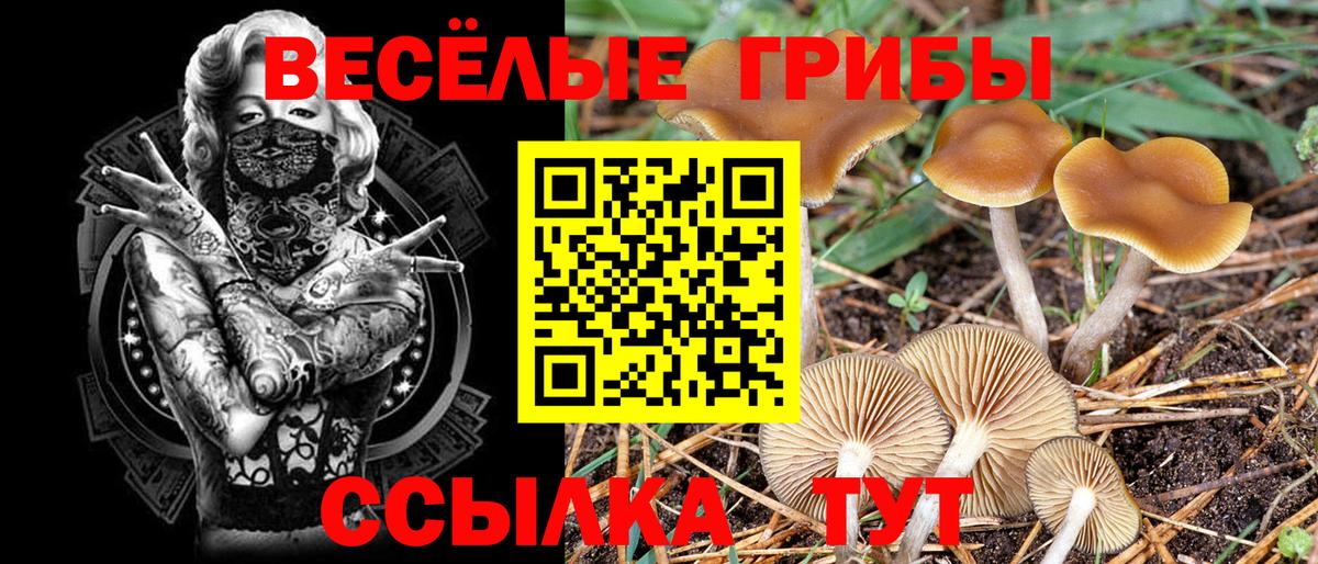 Псилоцибиновые грибы GOLDEN TEACHER Донецк